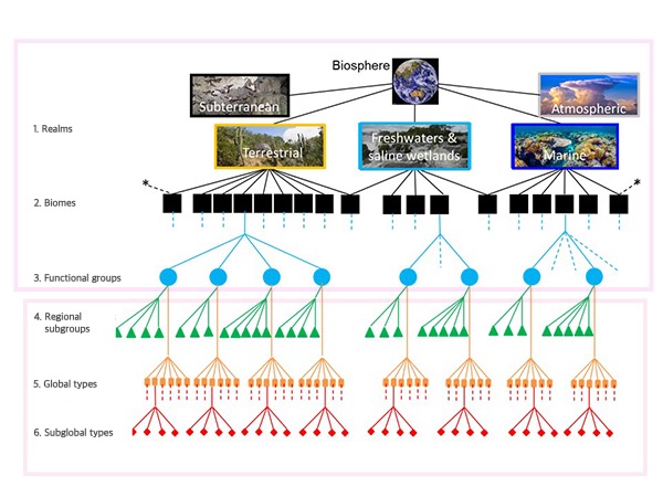 Data-Driven AI 1